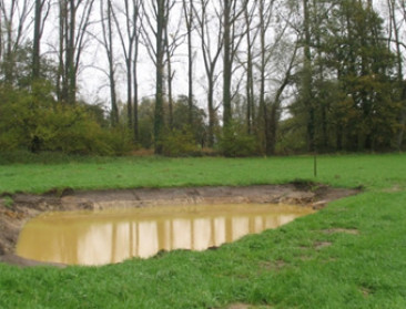 Natuurbeheer en landbouw verzoend via agrobeheergroep