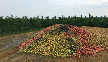 Horecamanagementbedrijf probeert platform voor landbouwoverschotten nieuw leven in te blazen
