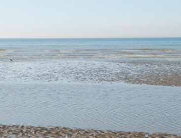 Natuurlijk rif moet zandstranden beschermen bij storm