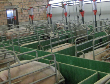 Intensief is beladen begrip in combinatie met landbouw