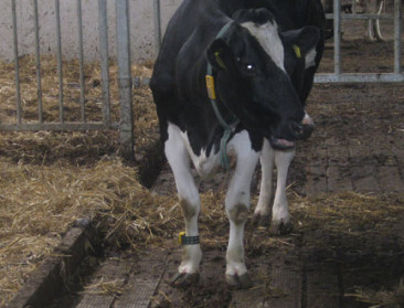PAS-lijst moet zich in de landbouwpraktijk nog bewijzen