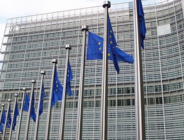 Uitblijven GLB: “Vlaanderen verantwoordelijk bij schending van rechten van boeren”