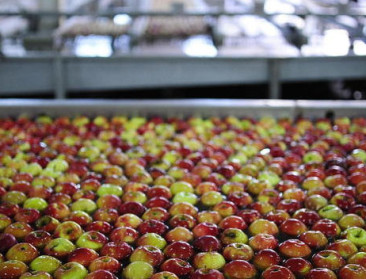 "Natriumbicarbonaat haalt residu sproeistof van fruit"