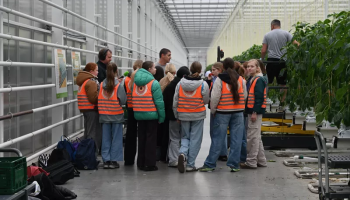 3.000 kinderen leren een land- en tuinbouwbedrijf kennen met ‘Boerendag’