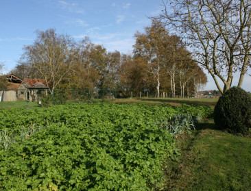 VMM en Velt lanceren webtool 'Mijn gifvrije tuin'