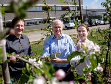 Pcfruit ontvangt internationale delegatie perenexperten