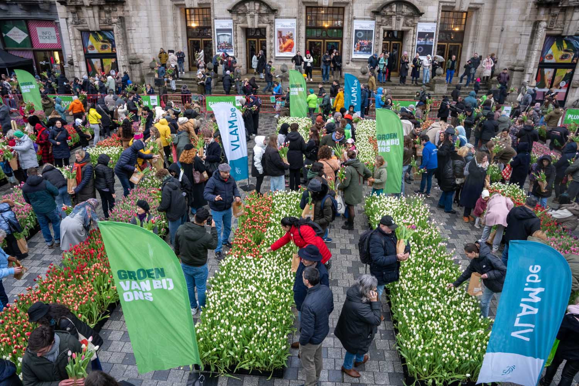 Tulpenpluktuin Antwerpen 2025_3