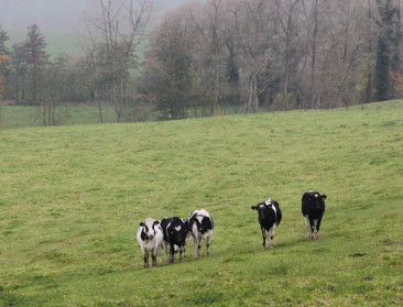 "De Vlaamse landbouw is voor en niet tegen het klimaat"