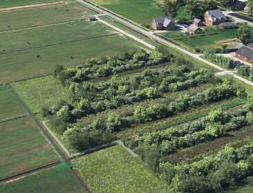 Nederlandse boeren planten eerste "voedselmoeras"