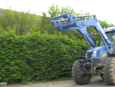 In het Brussels gewest zijn 51 landbouwers actief