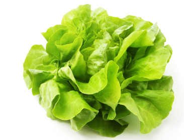 In de reeks 'Veldwerk' doet kropslateler zijn verhaal