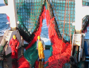 Het Jaar van de Bodem: de zeebodem