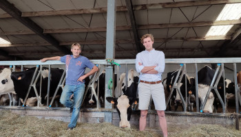 Vakantie op Vlaamse hoeves: Inkomsten uit melkveehouderij aangevuld met B&B 