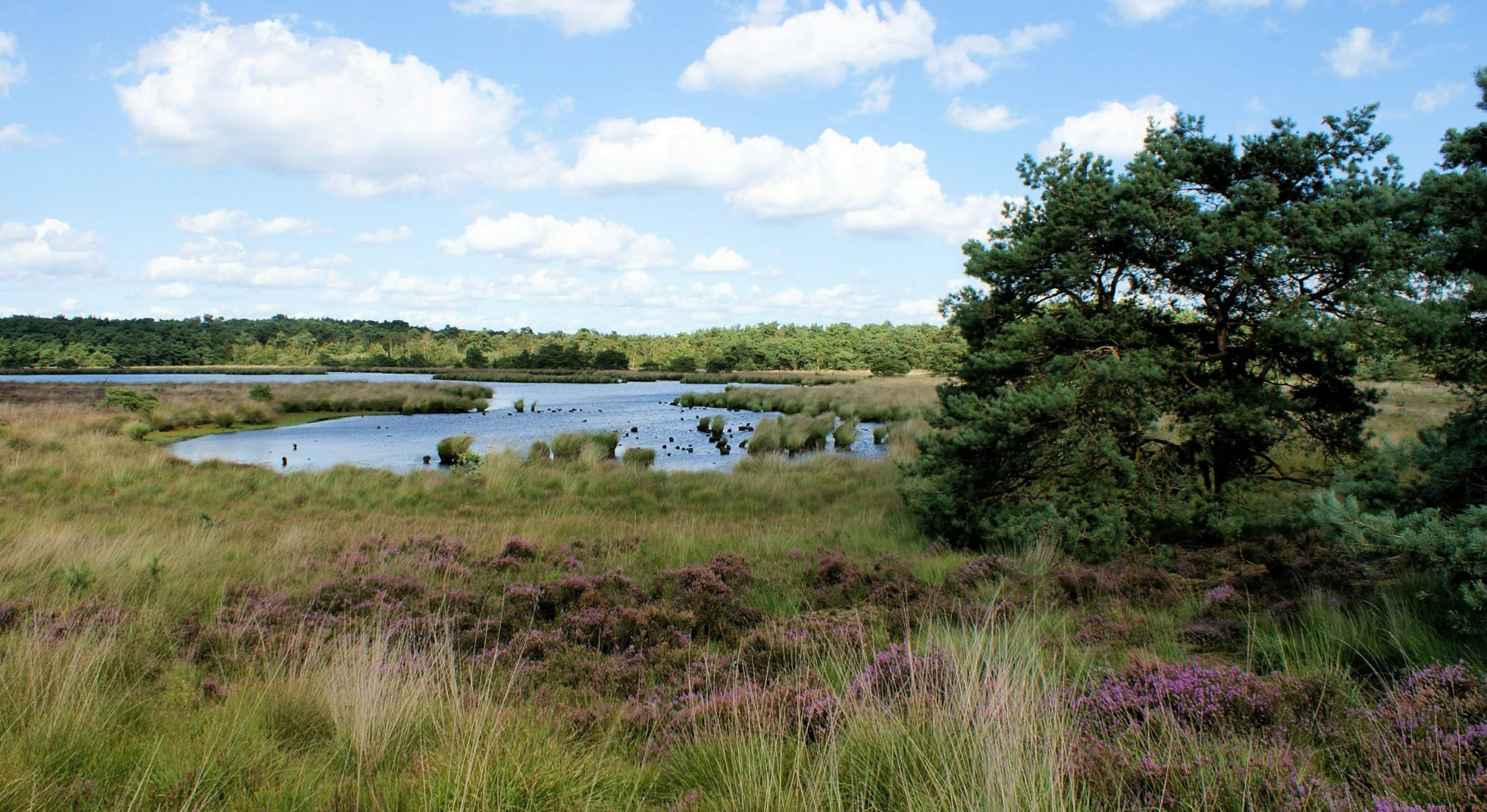 kalmthoutseheide-CRGrensparkKalmthoutseHeide