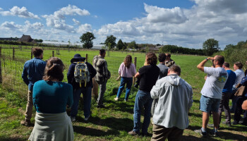 Agroforestry Beleidsdag zoekt hoe beleid landbouwers kan aanzetten tot meer boomaanplant