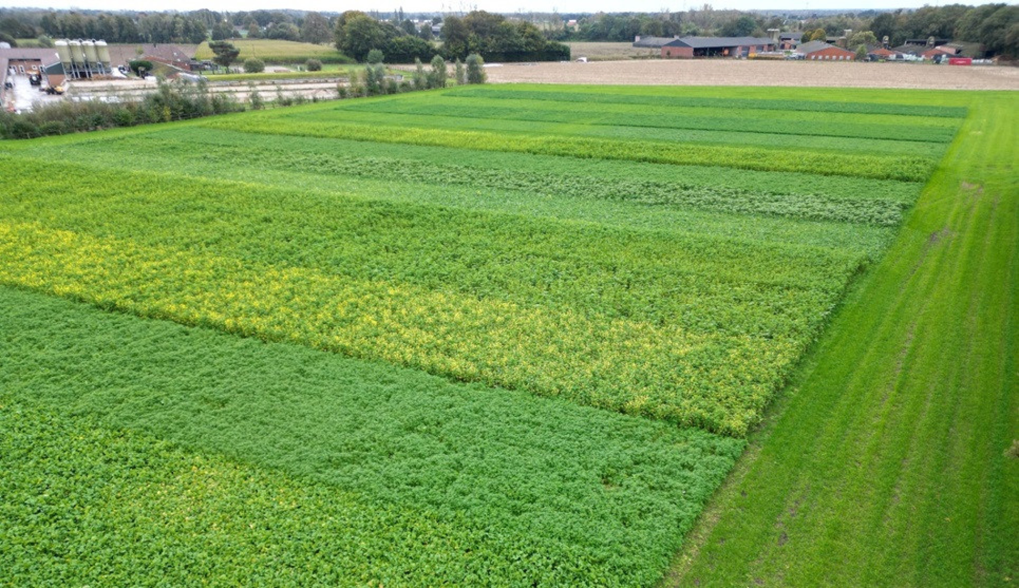 demoveldgroenbedekkers-PVL-BDB