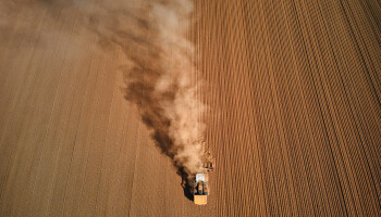 Bezorgt El Niño de wereldwijde landbouw een dubbele mokerslag?