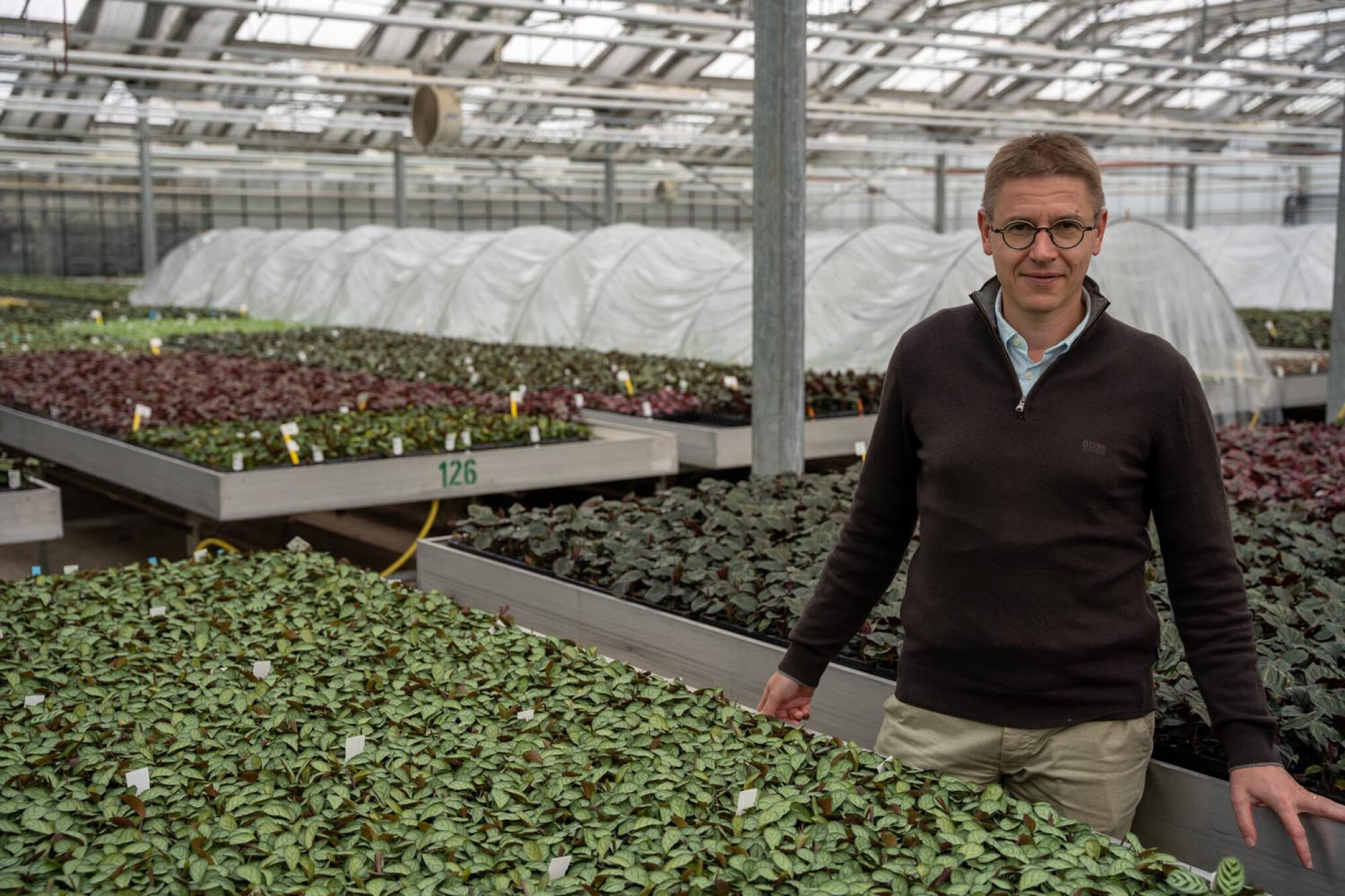 Johan Vrancken, directeur van Denis-Plants.