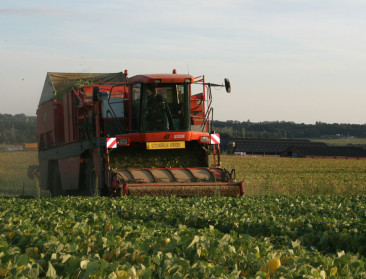 "Ik ben tegen wereldhandel en voor duurder voedsel"