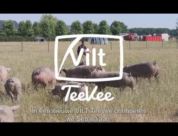 🎥 Trailer nieuwe aflevering VILT TeeVee: vanaf zondag 13 juli op PlattelandsTV