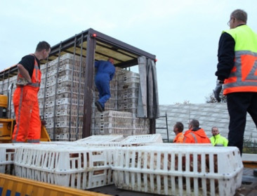 Regels transport en verhandelen van dieren gewijzigd