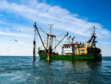 Natuur en visserij botsen op zee: vissers eisen inspraak in nieuwe regels