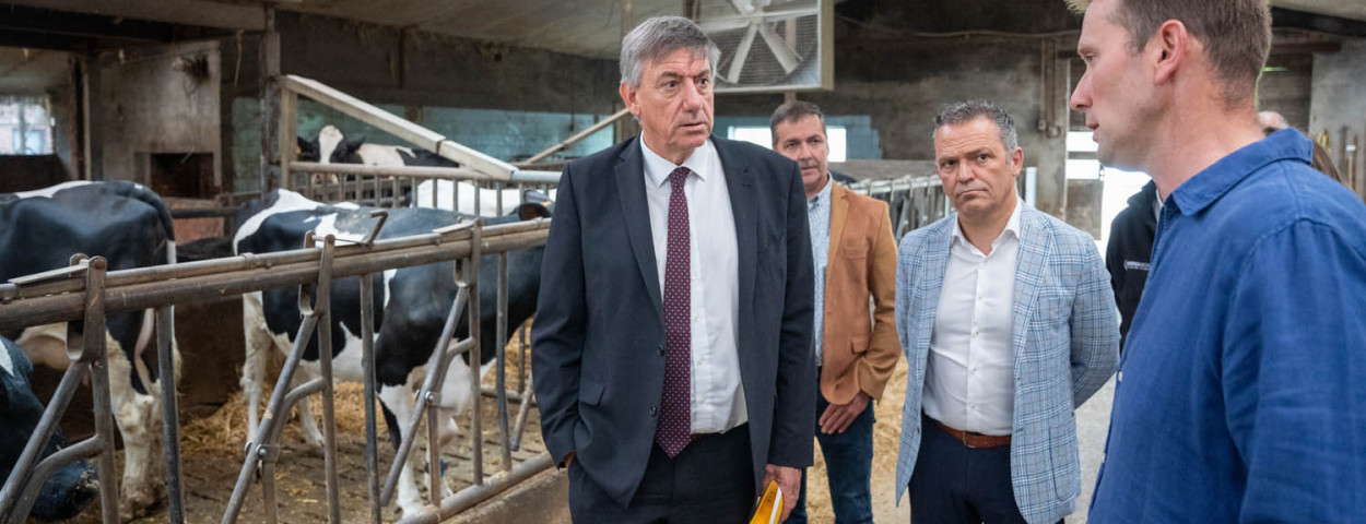 Jambon op melkveebedrijf in Essen6