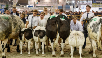 Geen dieren op Agribex door Brussels verbod