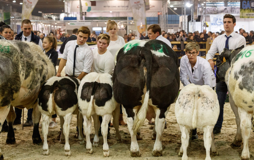Geen dieren op Agribex door Brussels verbod