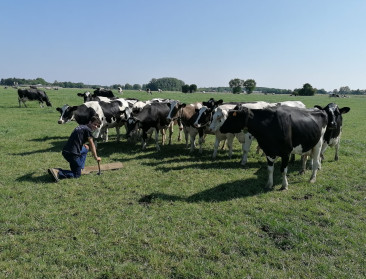 Graslanden in de Kempen blijken sterke klimaatbondgenoten