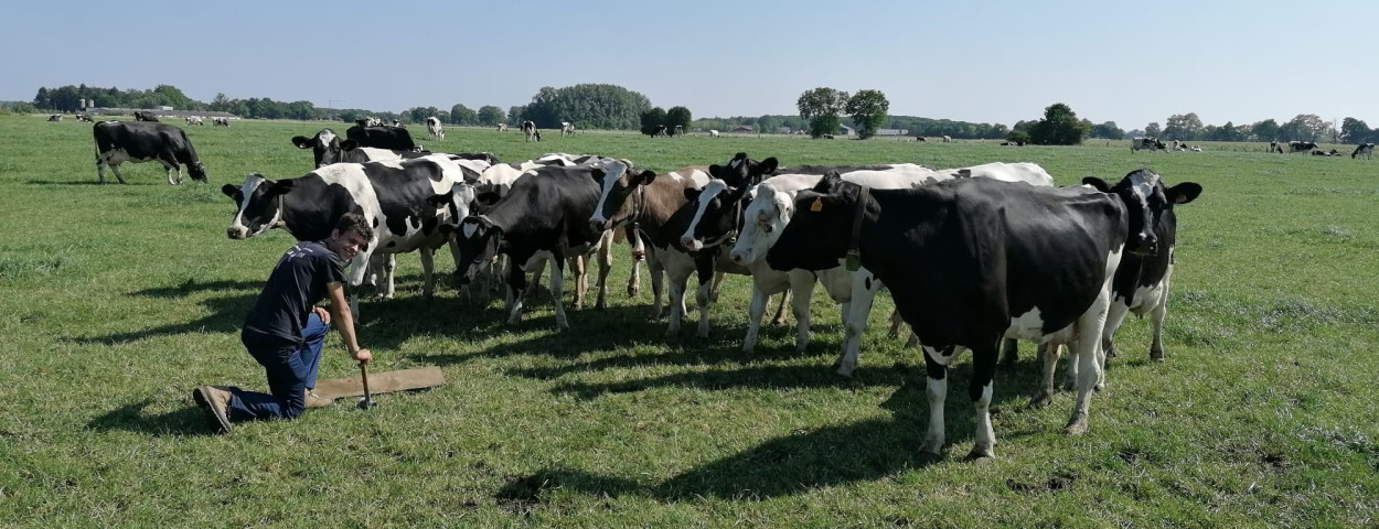graslandmeting