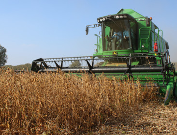 Arvesta wil evolueren naar 1.000 hectare soja in België