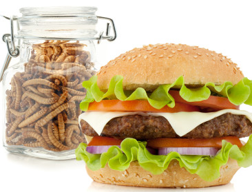 Insectenburgers krijgen innovatieprijs voedingssector