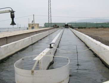 BioForum wijst op voordelen bio voor waterkwaliteit