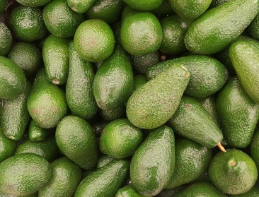 Weg met mango's en avocado's? Frankrijk wil alle producten met verboden gewasbescherming verbieden
