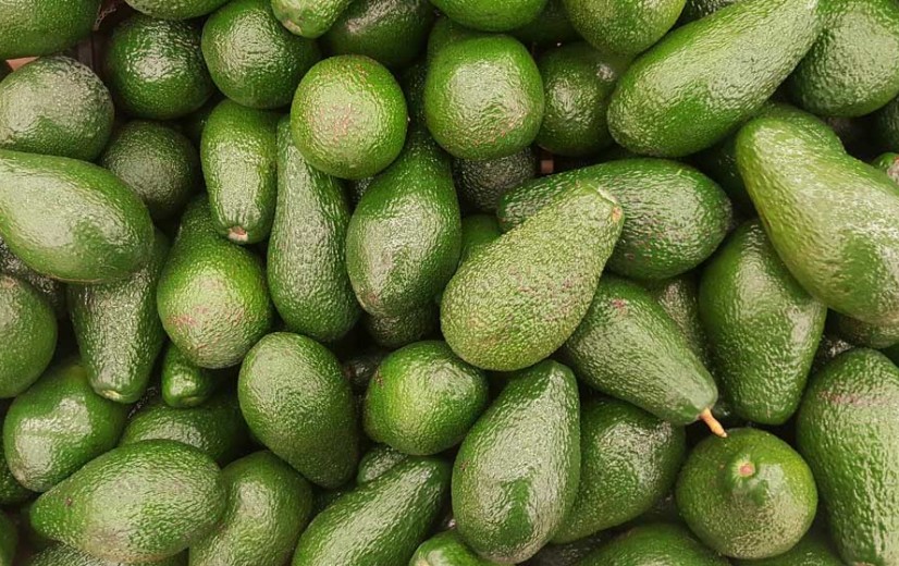 Weg met mango's en avocado's? Frankrijk wil alle producten met verboden gewasbescherming verbieden