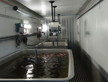 Naar een stadslandbouw op gezuiverd afvalwater