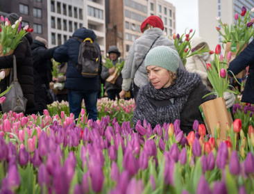 Antwerpenaren schuiven massaal aan voor bloemenactie van VLAM
