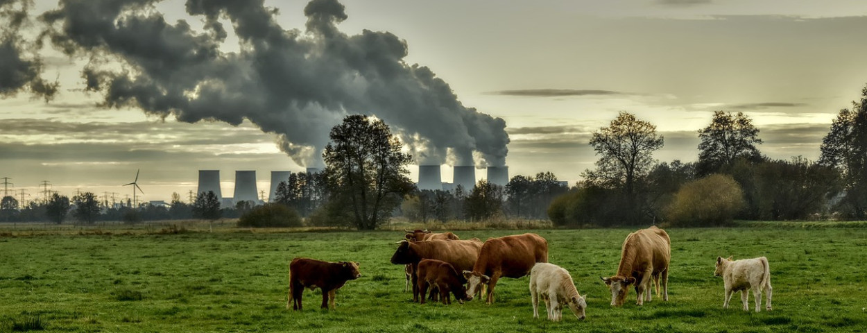 verontreinigingindustrievervuiling-1280