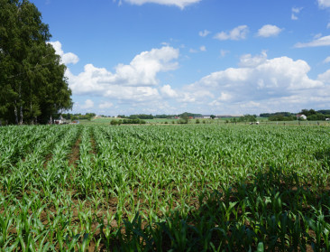 Zijn landbouwers klaar voor een voedselrevolutie?