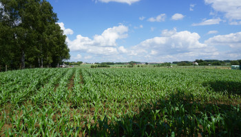 Vragen over rol van omgevingsinspectie na afvalschandaal in de Kempen