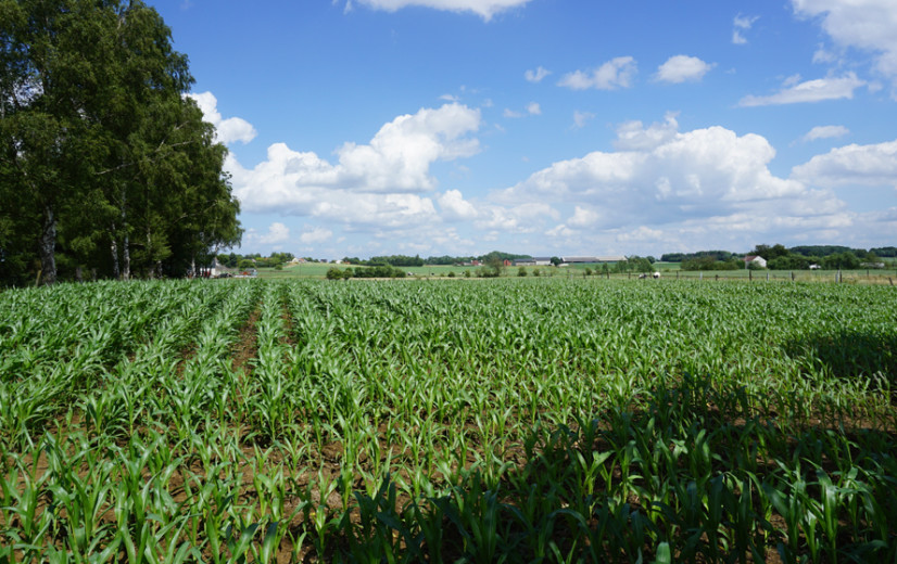 Vragen over rol van omgevingsinspectie na afvalschandaal in de Kempen