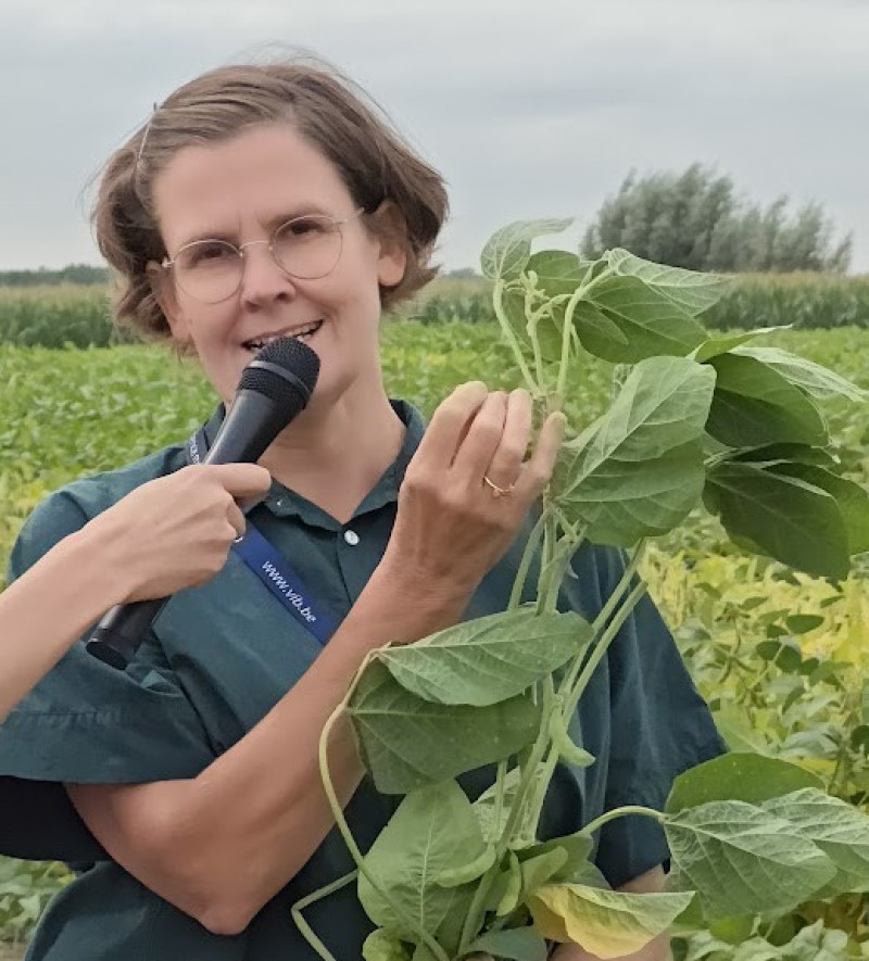 Sofie Goormachtig VIB sojaproef