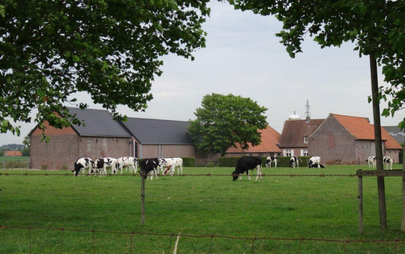 Hoe scoren de melkveehouders op duurzaamheid?