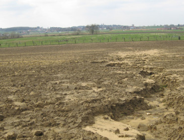 “Intensieve landbouw minst slechte optie voor milieu”