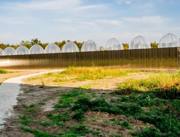 Binnenkort landbouw mogelijk op arme grond?