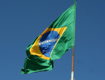 Bolsonaro legt bosbranden 60 dagen aan banden