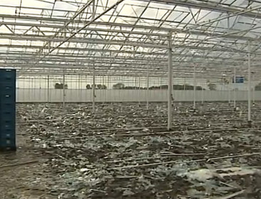 “Hulp vragen is net een teken van sterkte”