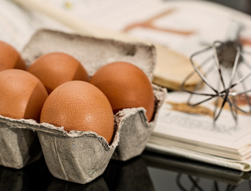 FAVV roept eieren terug na 70-tal gevallen van salmonella