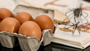 FAVV roept eieren terug na 70-tal gevallen van salmonella